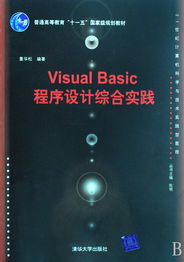 Visual Basic程序設(shè)計綜合實踐——21世紀計算機科學(xué)與技術(shù)實踐型教程評介